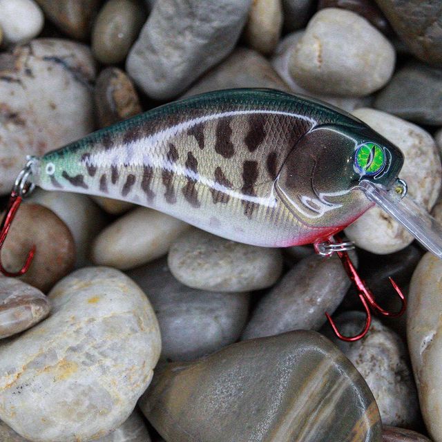 Custom Priris 2-4ft – Prairie Custom Rods and Lures
